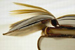 Ebooks