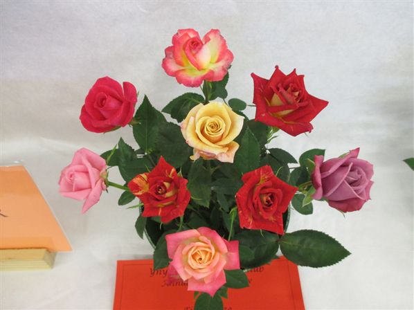 National Chrysanthemum Society Show 2011